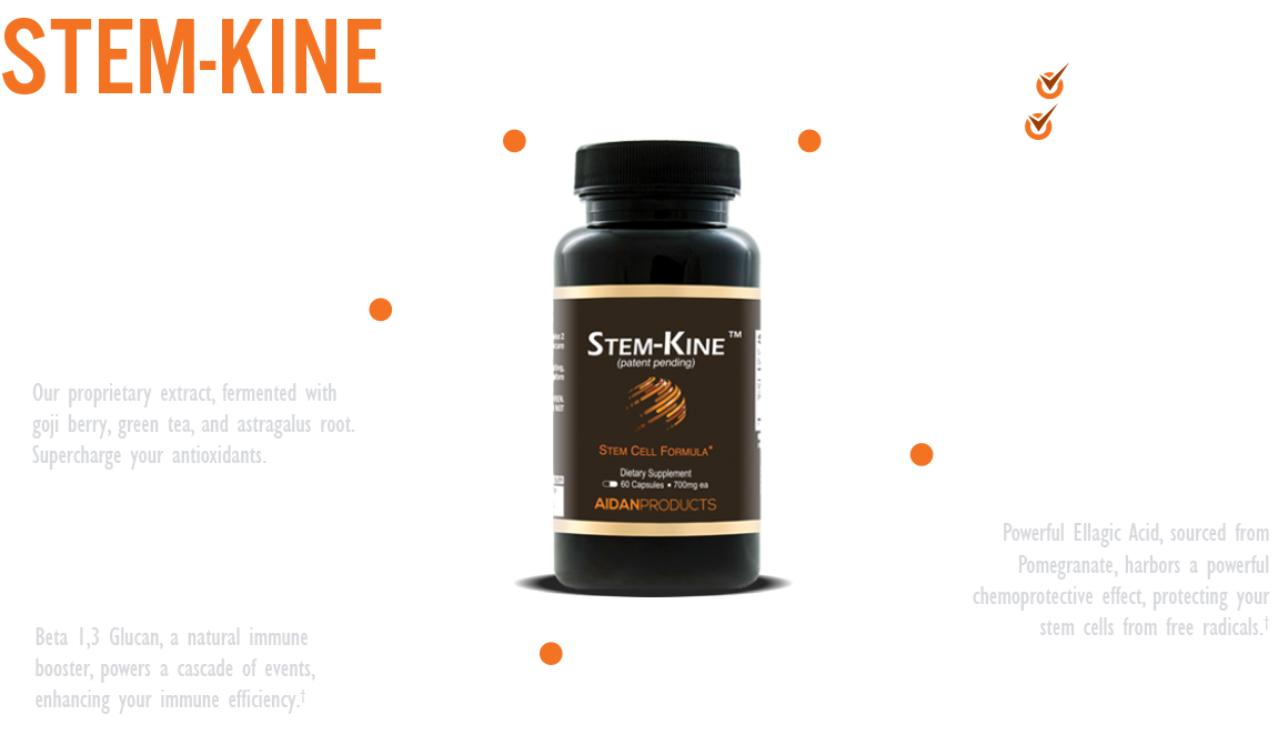 stem-kine-infographic-2